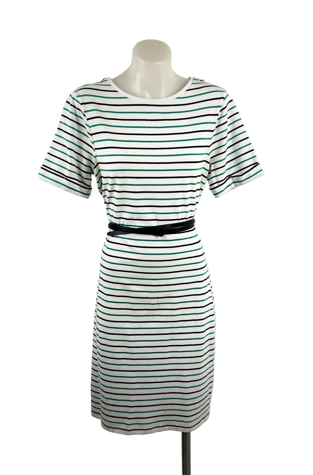 Seed Green & Navy Striped Dress BNWOT